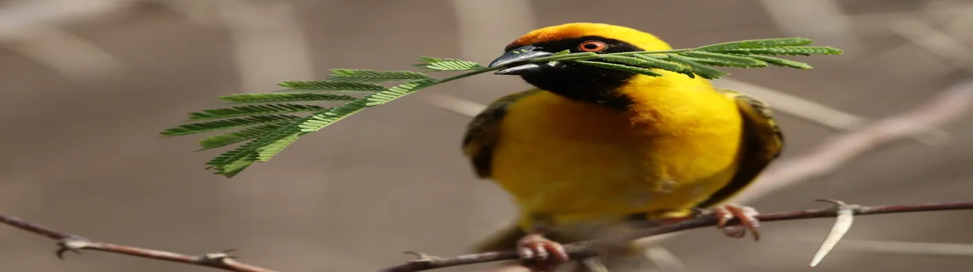 법무법인 서앤율